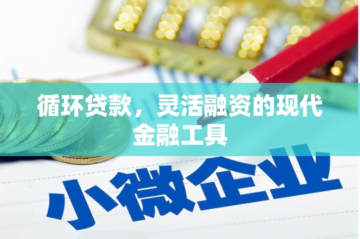 丹寨循环贷款，灵活融资的现代金融工具