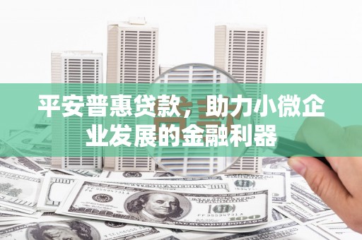 丹寨平安普惠贷款，助力小微企业发展的金融利器