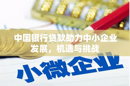 丹寨中国银行贷款助力中小企业发展，机遇与挑战