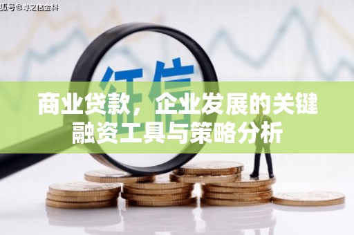 丹寨商业贷款，企业发展的关键融资工具与策略分析