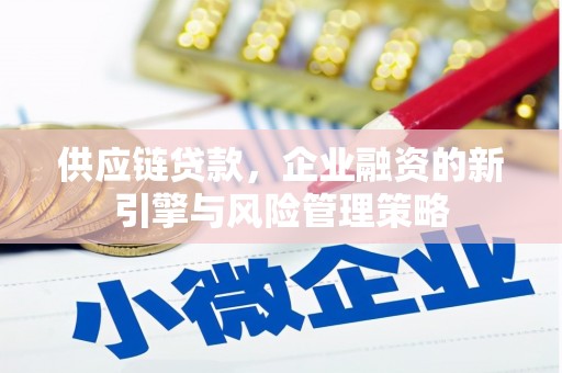 丹寨供应链贷款，企业融资的新引擎与风险管理策略