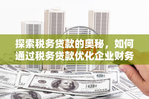 丹寨探索税务贷款的奥秘，如何通过税务贷款优化企业财务