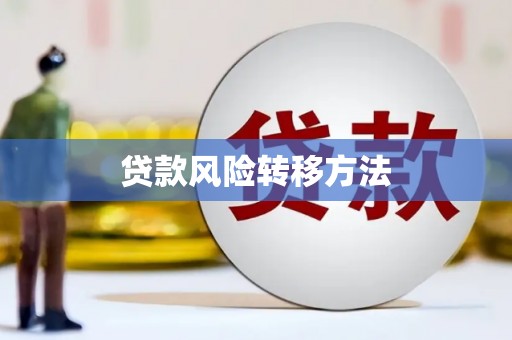 丹寨贷款风险转移方法