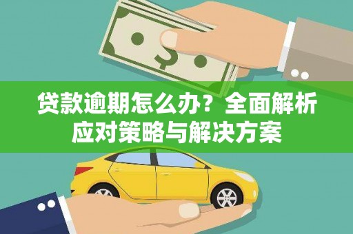 丹寨贷款逾期怎么办？全面解析应对策略与解决方案