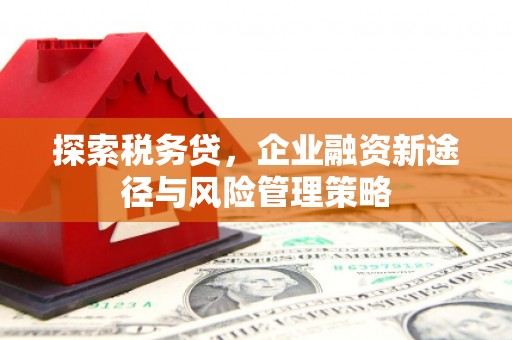 丹寨探索税务贷，企业融资新途径与风险管理策略