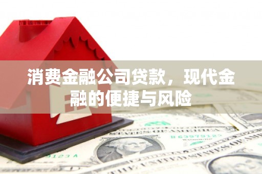 丹寨消费金融公司贷款，现代金融的便捷与风险