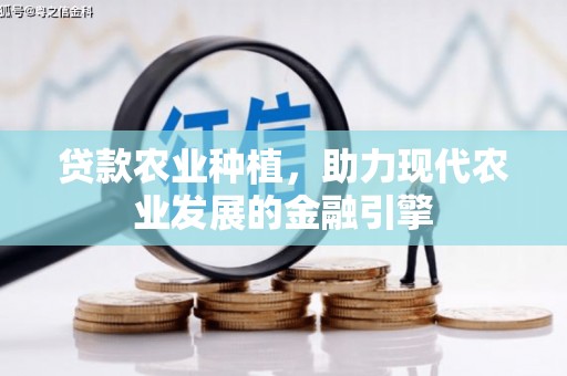 丹寨贷款农业种植，助力现代农业发展的金融引擎
