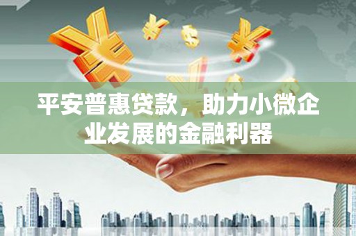 丹寨平安普惠贷款，助力小微企业发展的金融利器