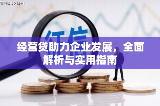 丹寨经营贷助力企业发展，全面解析与实用指南