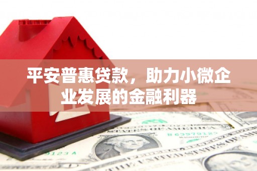 丹寨平安普惠贷款，助力小微企业发展的金融利器