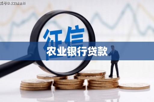丹寨农业银行贷款