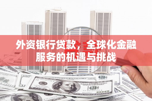 丹寨外资银行贷款，全球化金融服务的机遇与挑战