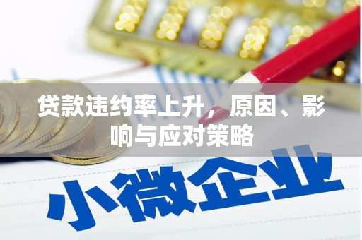 丹寨贷款违约率上升，原因、影响与应对策略