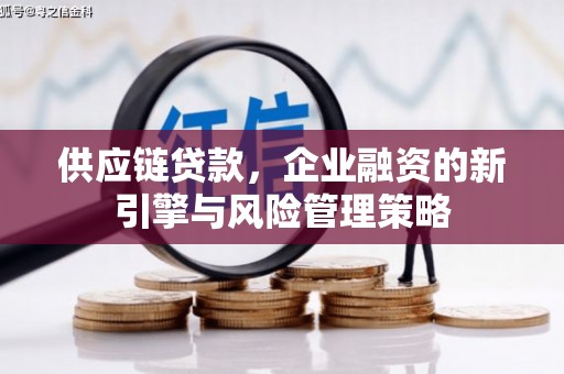 丹寨供应链贷款，企业融资的新引擎与风险管理策略