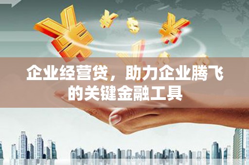 丹寨企业经营贷，助力企业腾飞的关键金融工具