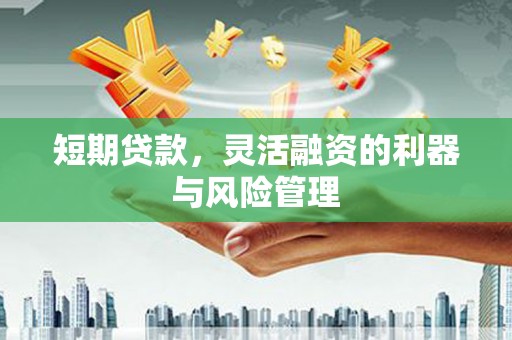 丹寨短期贷款，灵活融资的利器与风险管理