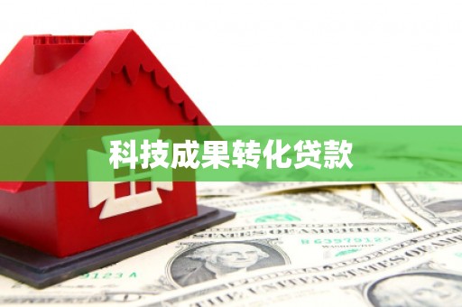 丹寨科技成果转化贷款
