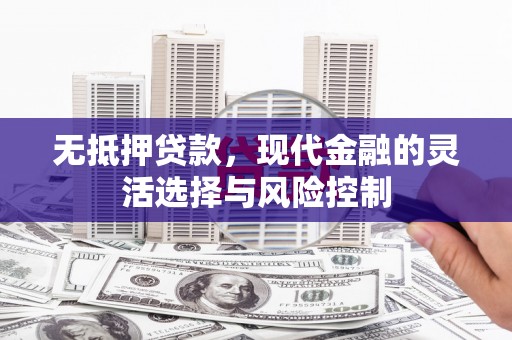 丹寨无抵押贷款，现代金融的灵活选择与风险控制