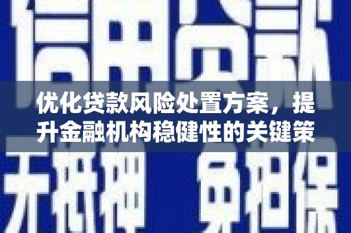 丹寨优化贷款风险处置方案，提升金融机构稳健性的关键策略
