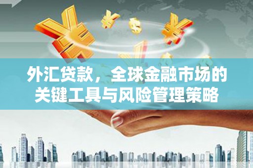 丹寨外汇贷款，全球金融市场的关键工具与风险管理策略