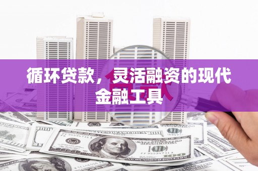 丹寨循环贷款，灵活融资的现代金融工具