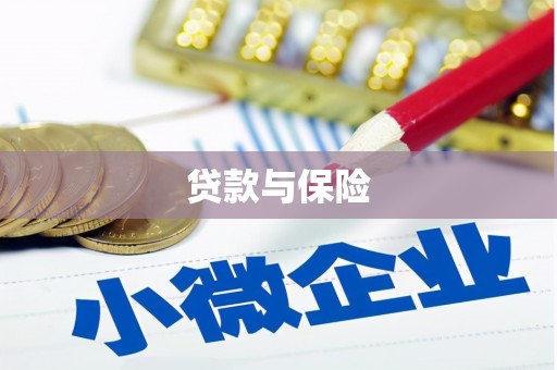 丹寨贷款与保险
