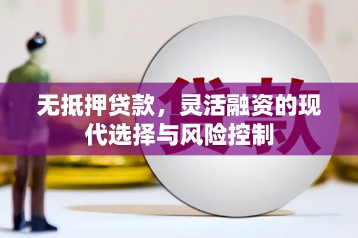 丹寨无抵押贷款，灵活融资的现代选择与风险控制