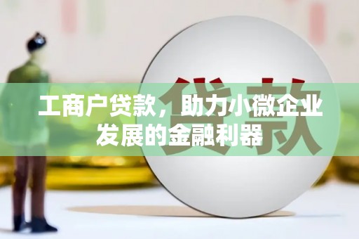 丹寨工商户贷款，助力小微企业发展的金融利器