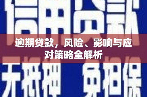 丹寨逾期贷款，风险、影响与应对策略全解析