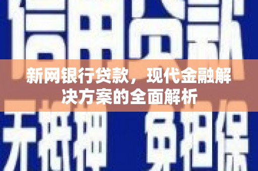 丹寨新网银行贷款，现代金融解决方案的全面解析