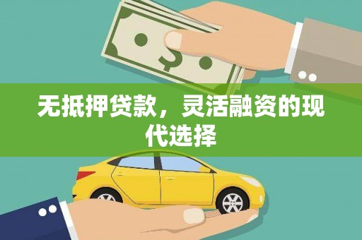 丹寨无抵押贷款，灵活融资的现代选择