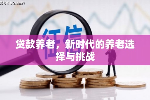 丹寨贷款养老，新时代的养老选择与挑战