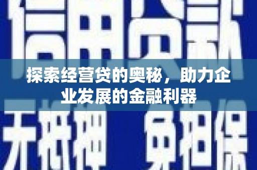 丹寨探索经营贷的奥秘，助力企业发展的金融利器