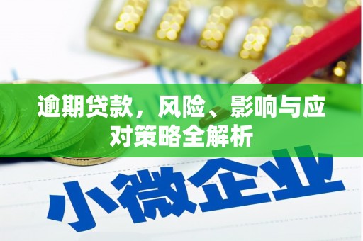 丹寨逾期贷款，风险、影响与应对策略全解析