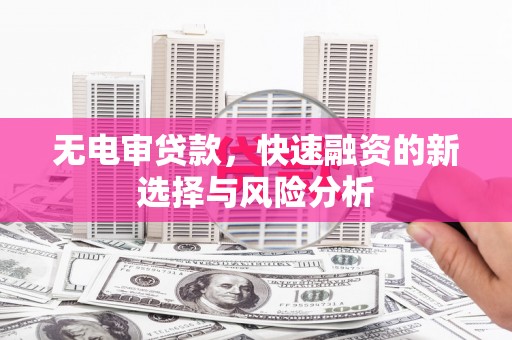 丹寨无电审贷款，快速融资的新选择与风险分析
