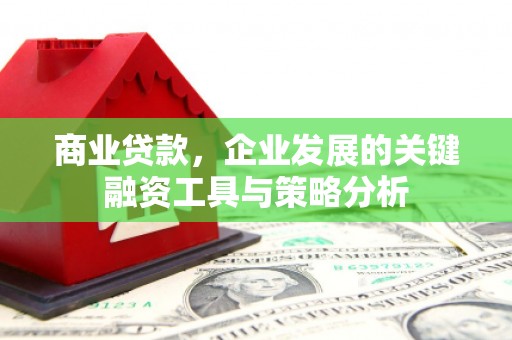 丹寨商业贷款，企业发展的关键融资工具与策略分析