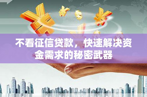 丹寨不看征信贷款，快速解决资金需求的秘密武器