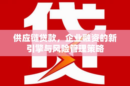 丹寨供应链贷款，企业融资的新引擎与风险管理策略