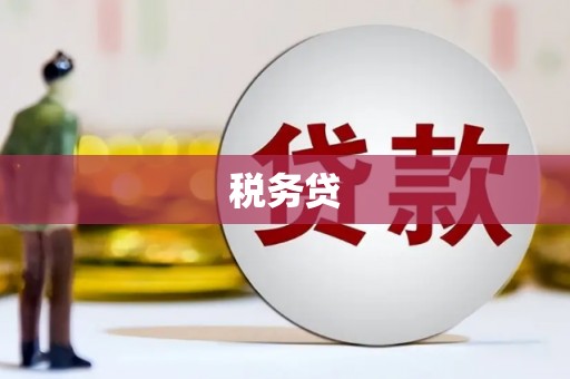 丹寨税务贷