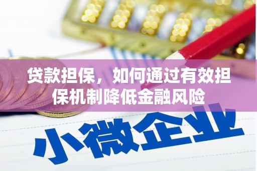 丹寨贷款担保，如何通过有效担保机制降低金融风险