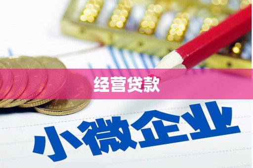 丹寨经营贷款