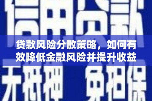 丹寨贷款风险分散策略，如何有效降低金融风险并提升收益
