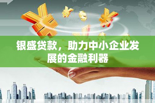 丹寨银盛贷款，助力中小企业发展的金融利器