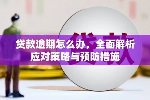 丹寨贷款逾期怎么办，全面解析应对策略与预防措施
