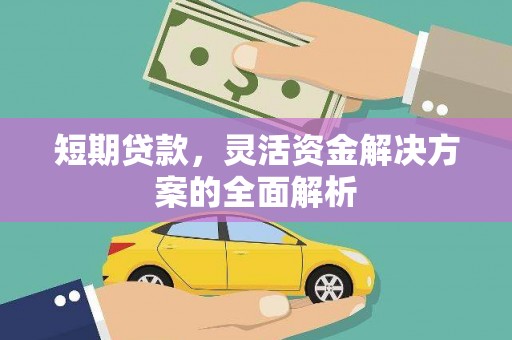 丹寨短期贷款，灵活资金解决方案的全面解析