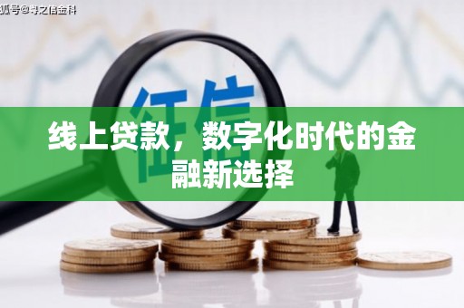 丹寨线上贷款，数字化时代的金融新选择
