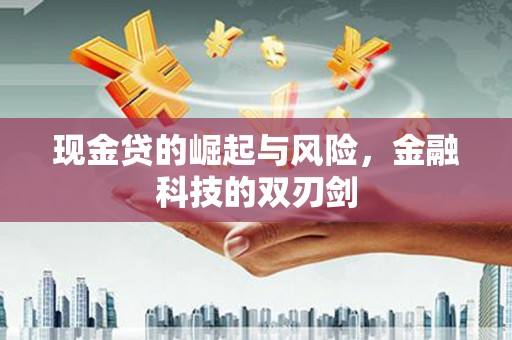 丹寨现金贷的崛起与风险，金融科技的双刃剑