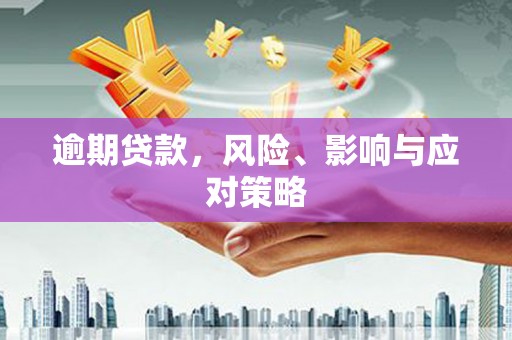 丹寨逾期贷款，风险、影响与应对策略