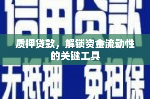 丹寨质押贷款，解锁资金流动性的关键工具