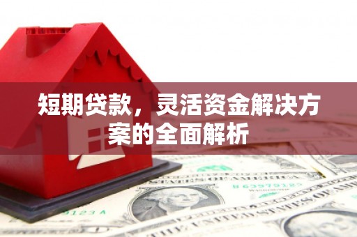 丹寨短期贷款，灵活资金解决方案的全面解析